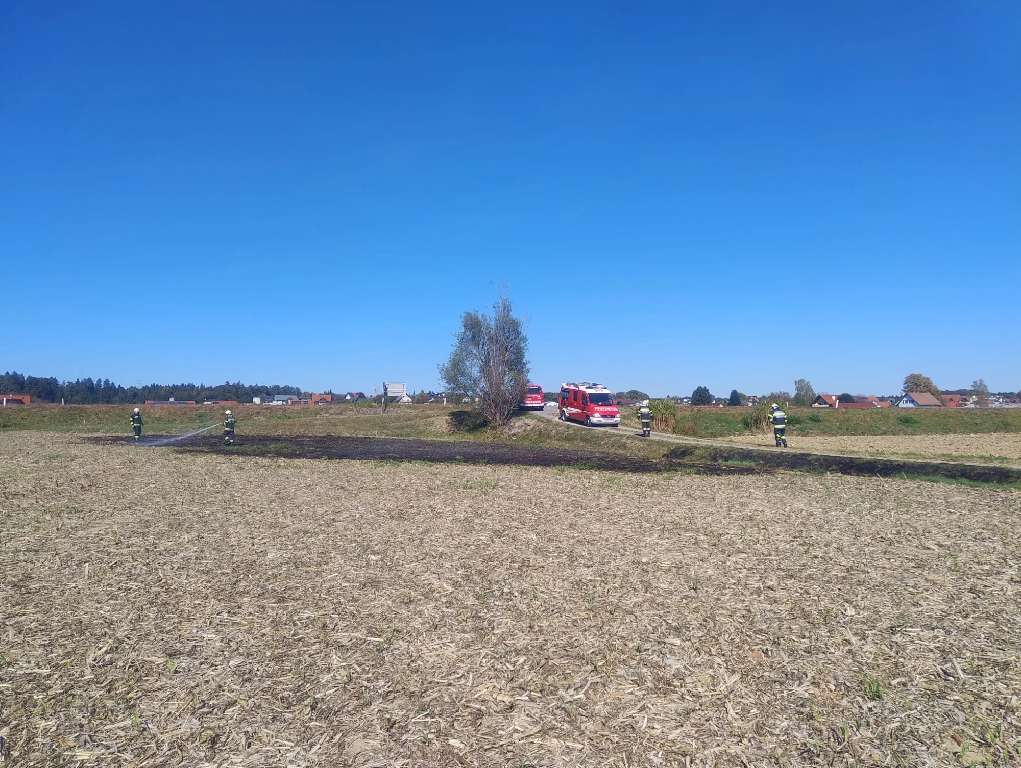 Vegetationsbrand — Bild 4