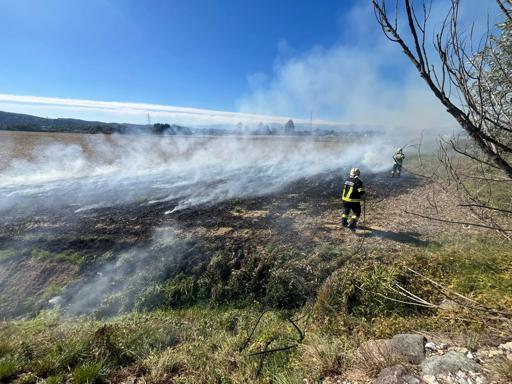 Vegetationsbrand — Bild 2