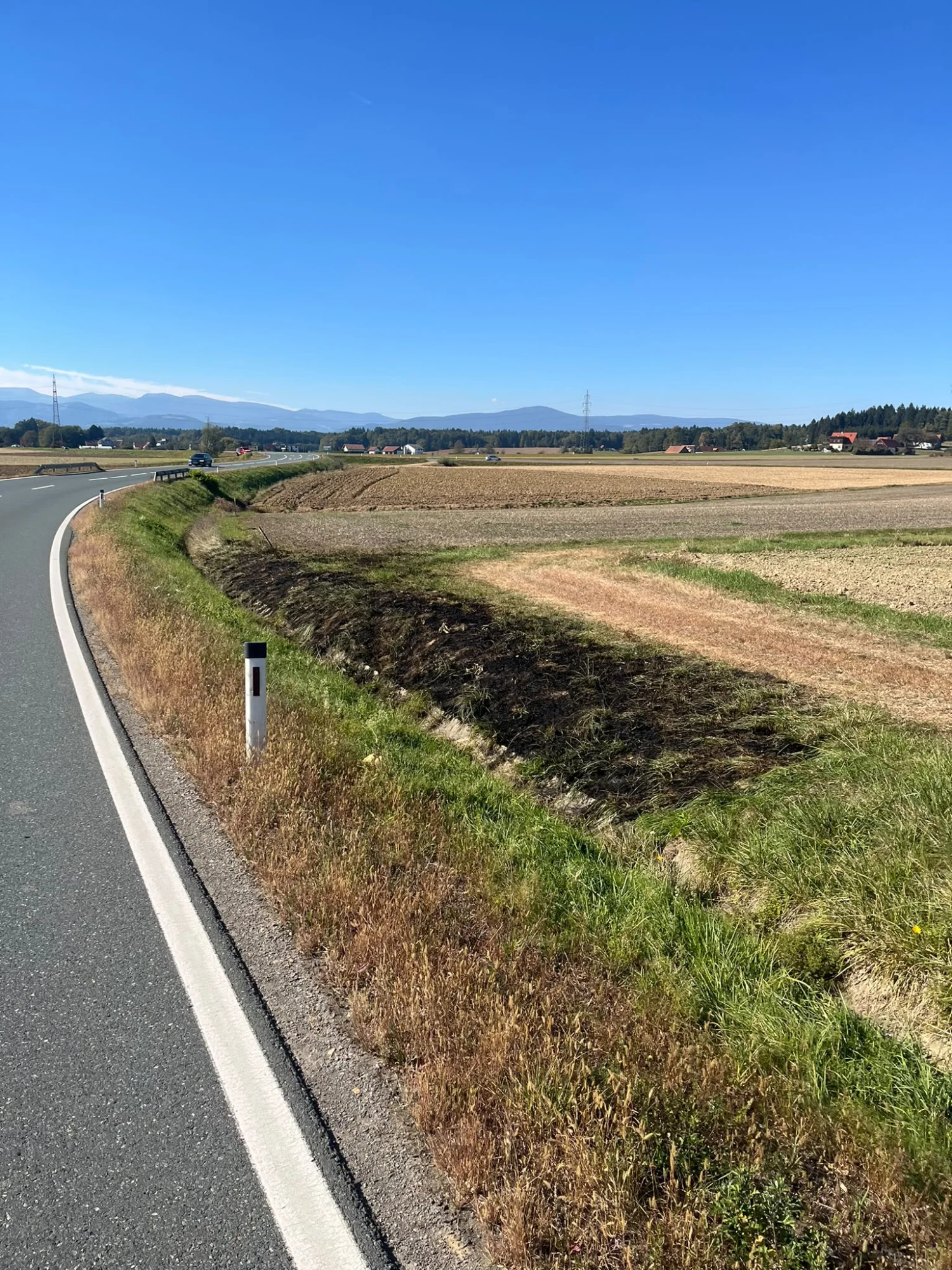 Vegetationsbrand — Bild 5