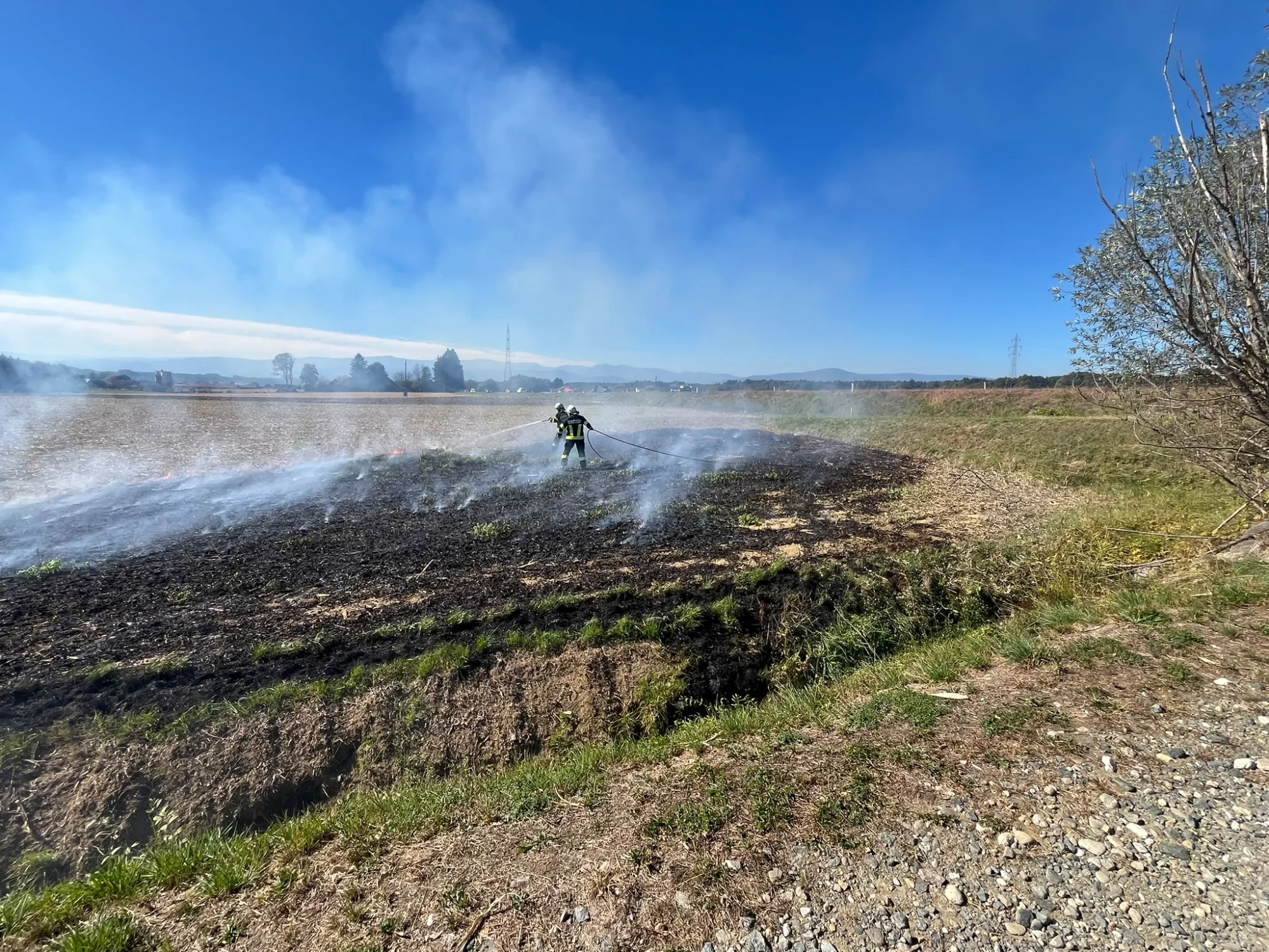 Vegetationsbrand — Bild 3